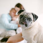 Daisy Vivas & Baby Sister Gia - @daisypug_andbaby - Instagram