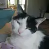 Daisy Pugh - @daisyp1005 - TikTok