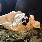 Luna Daisy Purdy - @lunadaisypurdy - Instagram