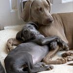 @purdy_n_daisy - Instagram