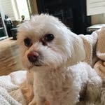 Daisy Putman - @krazydaisyputman - Instagram