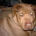 Daisy Putnam - Facebook