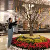 Quach Thi Thanh Thua - @daisy_quach - TikTok