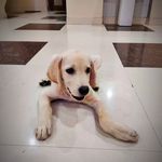 @daisy_queen_06 - Instagram