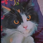 dezuu😻 - @daisy__queen__ - Instagram