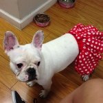 Daisy Duke - @daisydukequick - Instagram