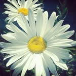 Daisy Rodríguez - @daisyrquiles - Instagram