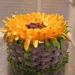 Mehjabin Daisy Rahman - @dreams_bakes_and_cakes - Instagram