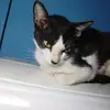 daisyramon0161mat - @nai0161 - TikTok