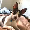 daisy - @la.unica.daisyrangel.133 - TikTok
