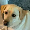 Daisy - @daisyrapping - TikTok