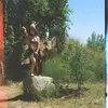 Daisy Rapp - @daisyrapp - TikTok