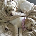 Daisy Raye Abbie Lee - @daisyrayeabbie - Instagram
