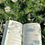 Daisy 📚 Soft Reads - @daisynreads - Instagram