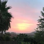 Daisy Read - @fareham_daisy - Instagram