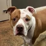 daisy read - @daisydukes1976 - Instagram