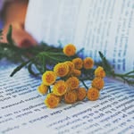 Daisy Reads - @daisy.reads09 - Instagram