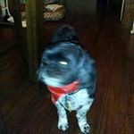 Daisy Redding - @redding.daisy - Instagram