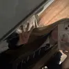 daisy x - @daisyreeder4 - TikTok