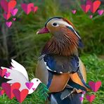 Daisy Rotich - Facebook