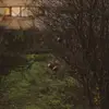 daisyreilly858 - @daisyreilly858 - TikTok