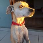 Daisy - @daisy_jones_renner - Instagram