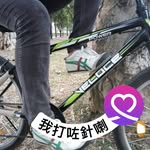 Daisy Roa - @daisyroa - Instagram