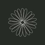 DAISY ROAD | DRESS RENTALS NZ - @daisyroadnz - Instagram