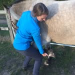 Daisy Roberts - @dcvetphysio - Instagram