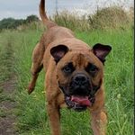 Daisy Roberts - @daisyroberts2468 - Instagram
