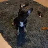 daisy...roberts - @daisy...roberts - TikTok