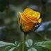 Daisy Rubio - Facebook