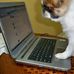 Daisy Santamaria - Facebook