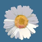 Daisy Sapphira - Facebook