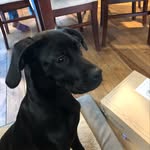 Daisy - @sappy.daisy - Instagram