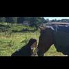 daisy Saunders - @daisyflow111 - TikTok