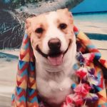 Daisy Laura Isajewicz Saylor - @whoops_a_daisy - Instagram