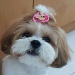 Daisy Schmitt - @daisycschmitt - Instagram