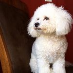 Daisy Schmitt - @crazydaisy43 - Instagram