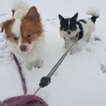 Kyra Schmitz - @daisy.max.schmitz - Instagram