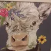 daisyseals705 - @daisyseals705 - TikTok