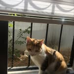 English Teacher - @daisy_seda_ - Instagram