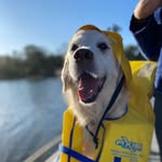 Daisy - @daisy.see.me.rollin - Instagram