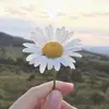 Daisy | Daily Self Reminder 🌸 - @daisy.aku - TikTok