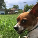 Daisy Self - @daisy_self1 - Instagram