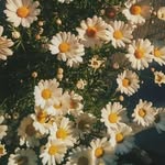 T & T ☁️🌟 - @daisy.selfcare_ - Instagram