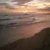 daisysequeira439 - @daisysequeira439 - TikTok