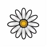 The Serious Daisy - @the_serious_daisy - Instagram