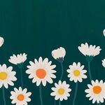 Daisy Sharon - @dai.c_7 - Instagram