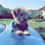 Daisy Sharp Girl 💙03-20-2020 - @daisysharp2020 - Instagram